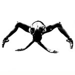 marachok profile picture