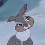 mar__almeida__ profile picture