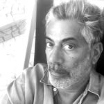 marcascoli profile picture