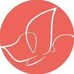 marcelinaswimwear profile picture