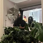 marcellomartns profile picture