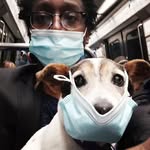 marcellouseurope profile picture