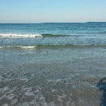 marco.island.florida profile picture
