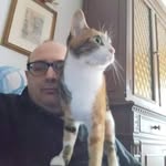 marcosarzetti profile picture