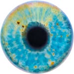 marcquinnart profile picture