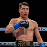 marctheboxer profile picture
