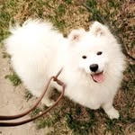 marcusthecloud profile picture