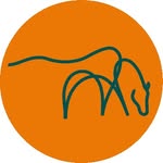 mareandfoalsanctuary profile picture