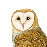 margeauxdavis.illustration profile picture