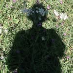 margheritaverdi profile picture