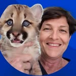 maria_angela_veterinaria2 profile picture