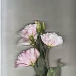 maria_bernad profile picture