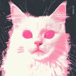 mariahangeliq profile picture