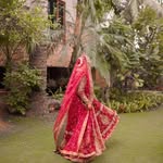 mariamaqsoodali profile picture