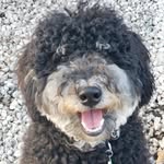 mariandmambo profile picture