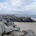 marie_saldanha profile picture