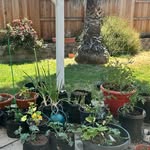 mariesfavoritethings profile picture