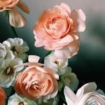marie___u___ profile picture