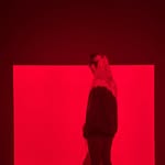 marinacaneve profile picture