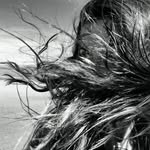 marinediaries_ profile picture