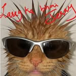 mark_bhai_aik_username_dedo profile picture