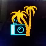 mark_miami profile picture