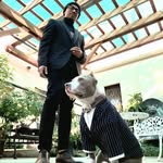 marksacrophotography profile picture