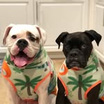 marlowandmaci profile picture