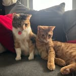 marloweandmia profile picture