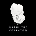 marnithecockatoo profile picture