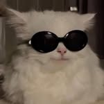 marshishishishi profile picture
