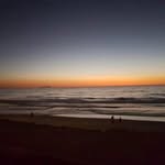 marthaalvarez3602 profile picture