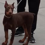martinezmartinez4520 profile picture