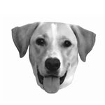 martygetstogo profile picture