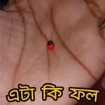 maruf41685 profile picture