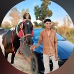 maruf56990 profile picture