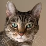 marvelous.miss.minnie_ny profile picture