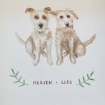 marvinandlulu profile picture