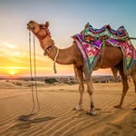 marwadii_diary profile picture
