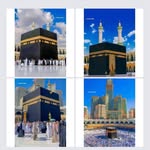 marwasherif522 profile picture
