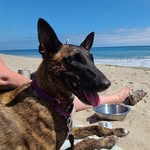 marythemalinois profile picture