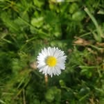 marzena.margaritt profile picture