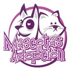 mascotasenadopcionargentina profile picture