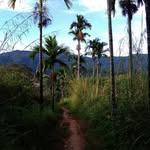 masgagah998 profile picture