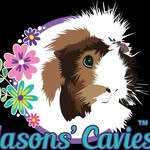 masonscavies profile picture
