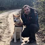 masoud.masoori profile picture