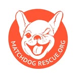 matchdogrescue profile picture