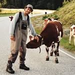 matteomontanariphotography profile picture