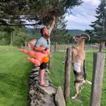 matthughes_ profile picture