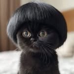 mavengelion profile picture